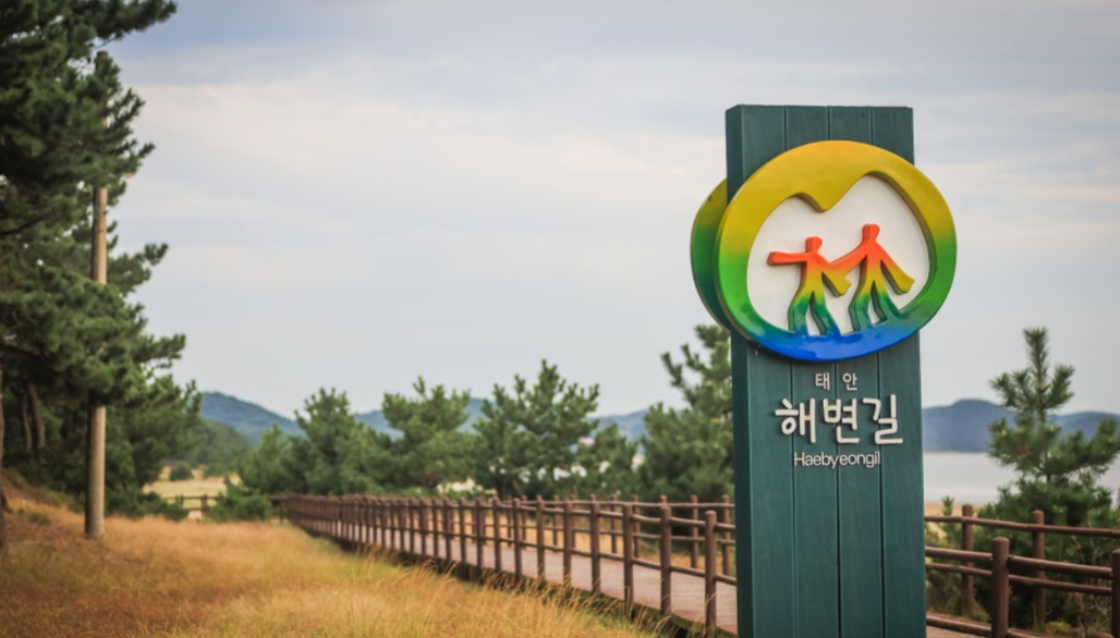 기지포 해변길 산책