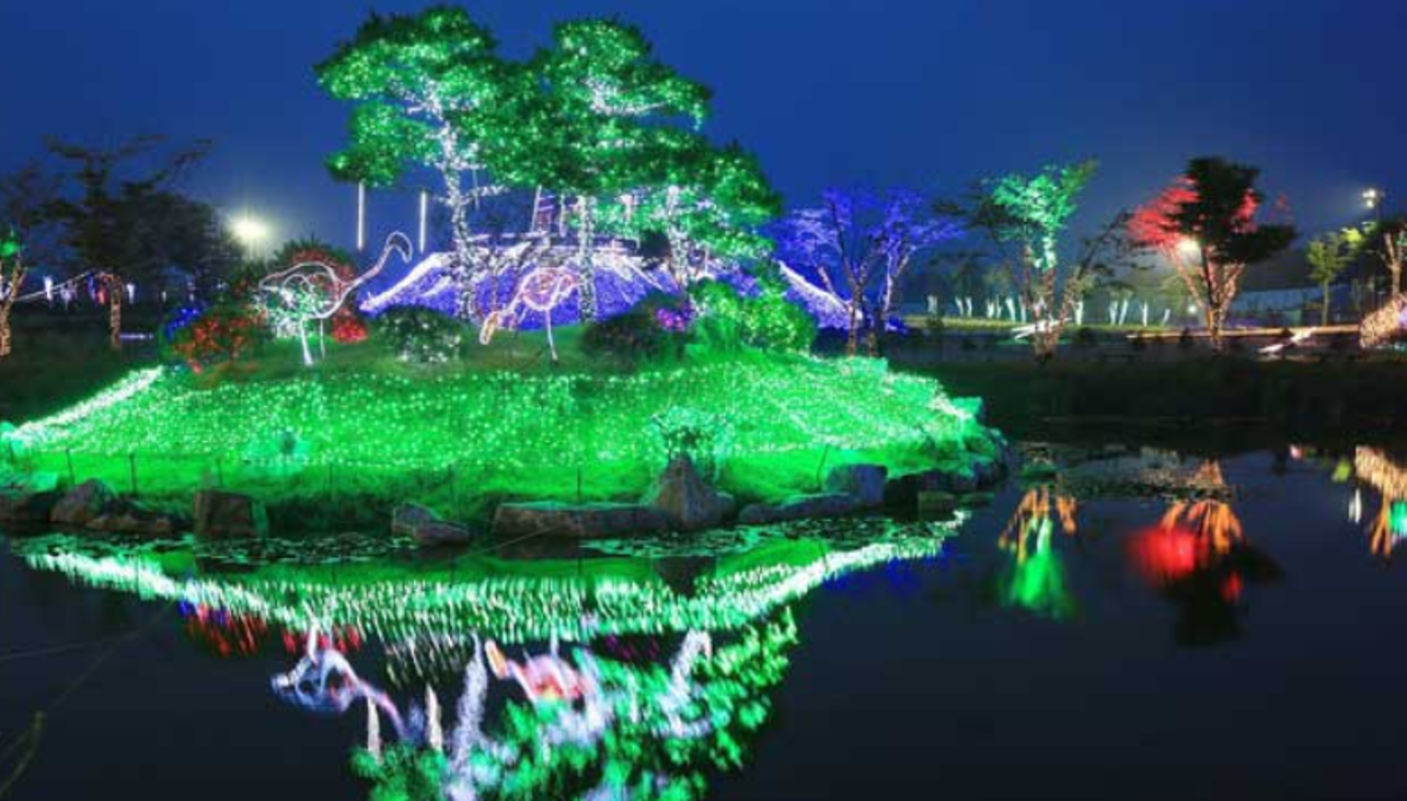 태안빛축제장 야경