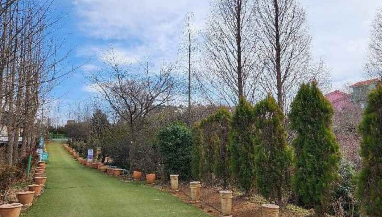 팜카밀레 허브농원