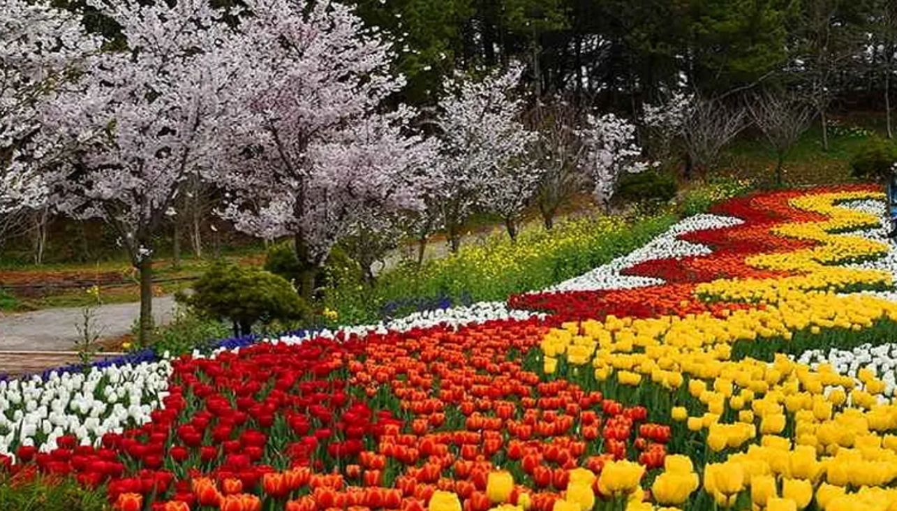 안면도 국제 꽃박람회장