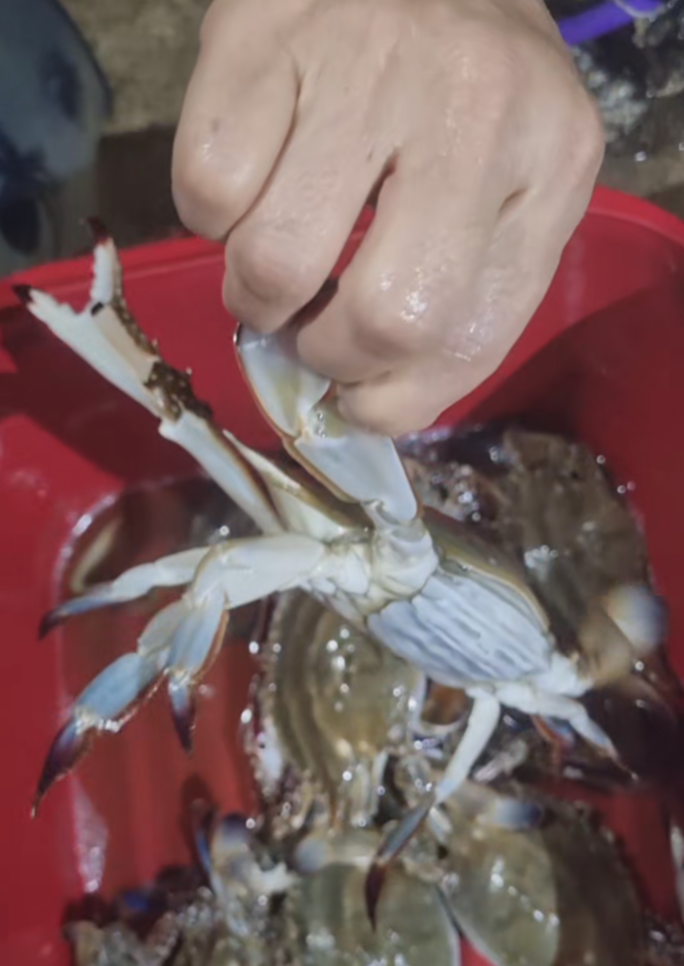 스크린샷 2025-10-09 122254.png