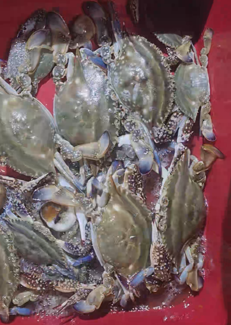 스크린샷 2025-10-09 122134.png