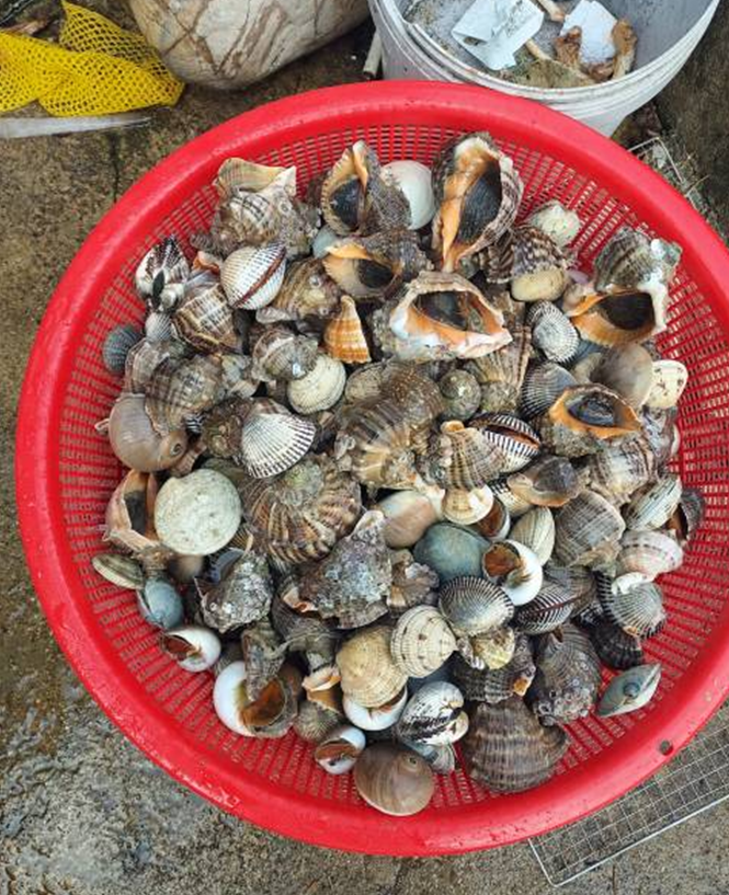 1.11 바람불어서.png